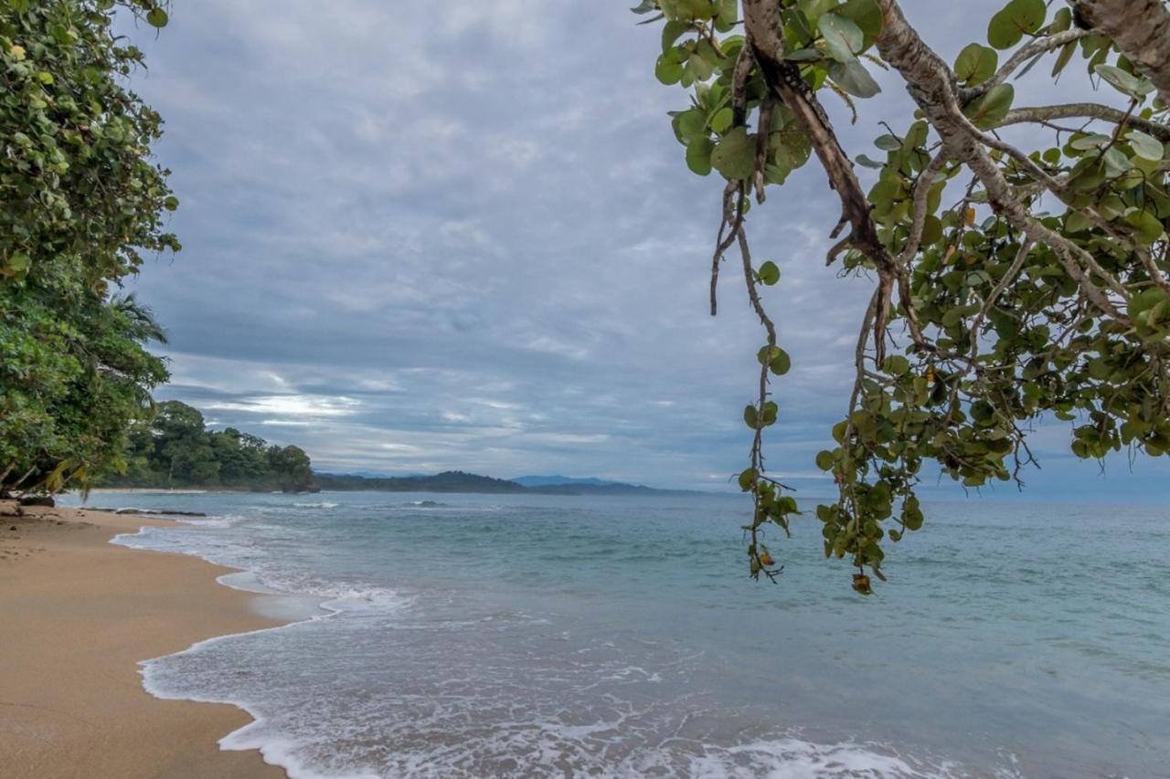 Hotel Torres Del Mar Puerto Viejo de Talamanca ภายนอก รูปภาพ
