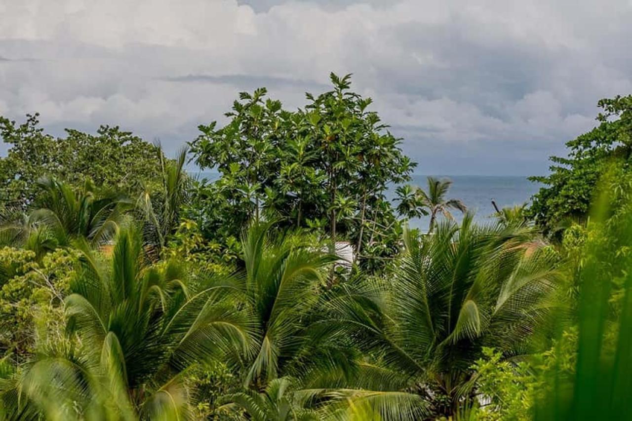 Hotel Torres Del Mar Puerto Viejo de Talamanca ภายนอก รูปภาพ